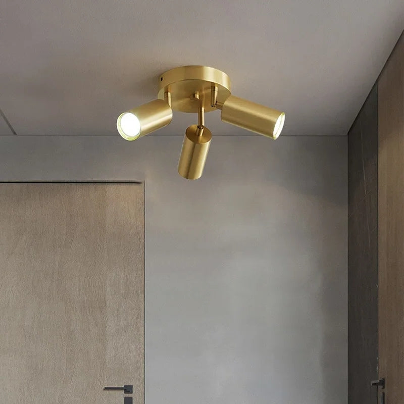 Plafonnier orientable