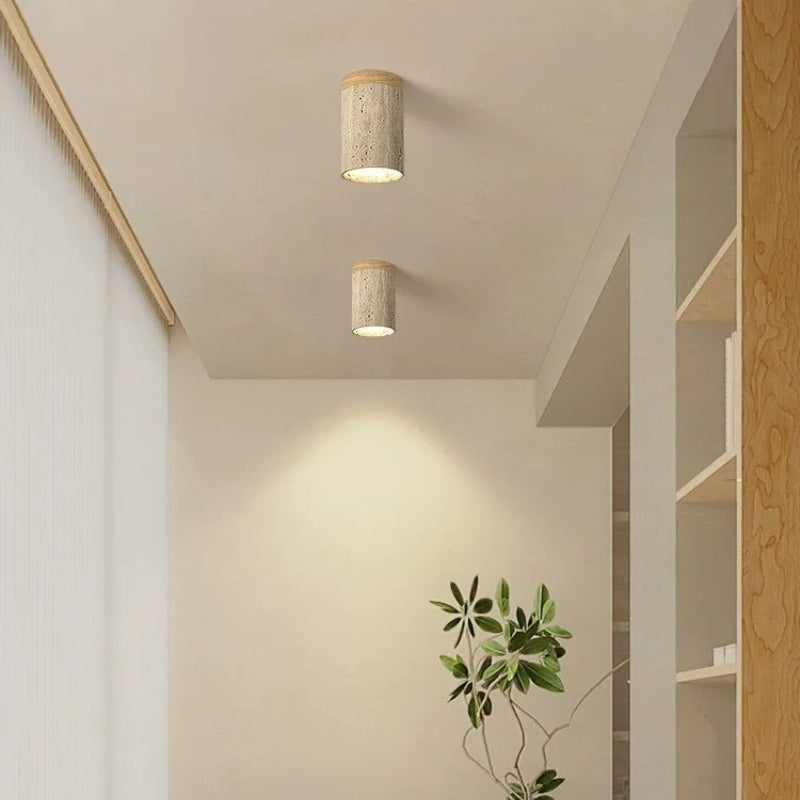 Plafonnier spot led 1