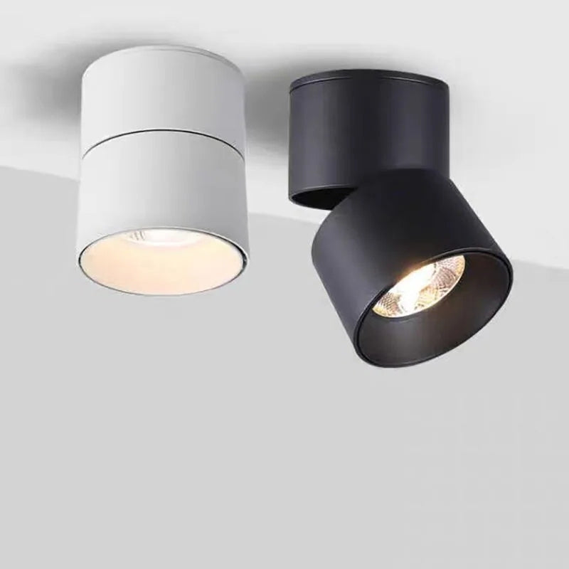 Plafonnier spot orientable 10