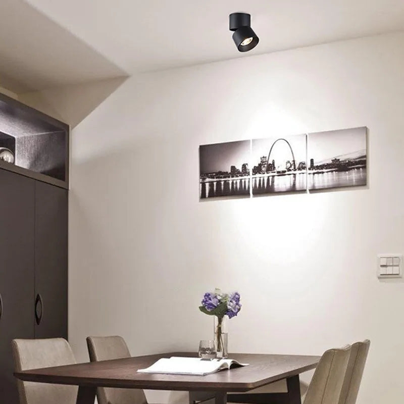 Plafonnier spot orientable 2