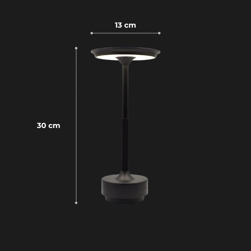 lampe a poser led 14