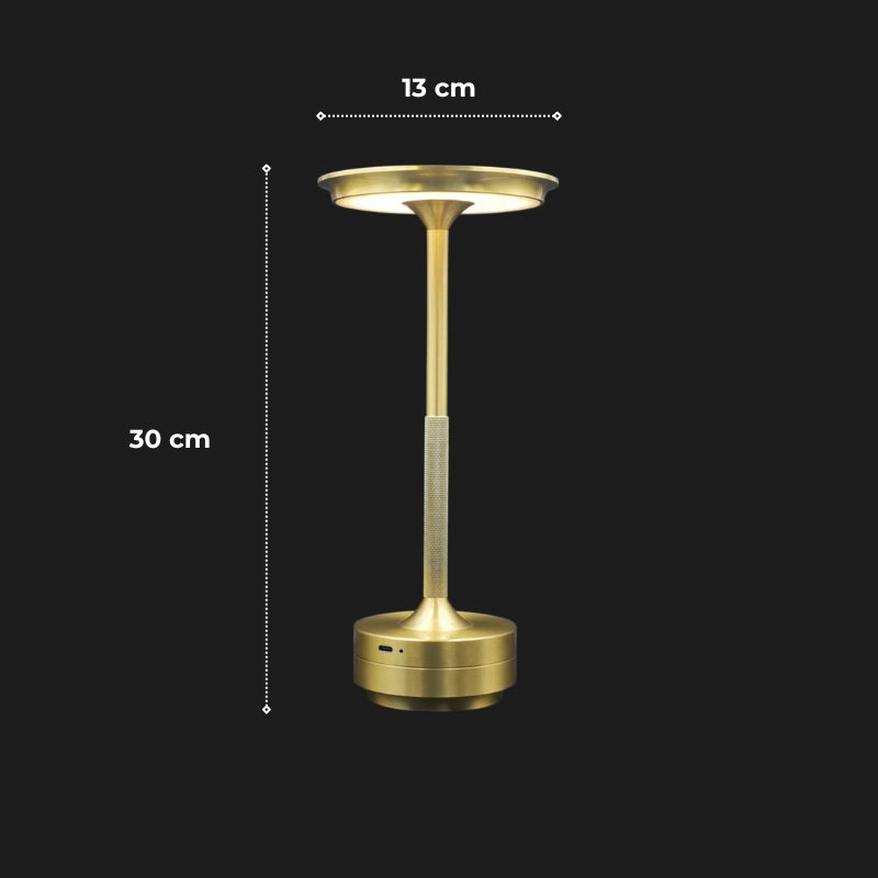 lampe a poser led 15 