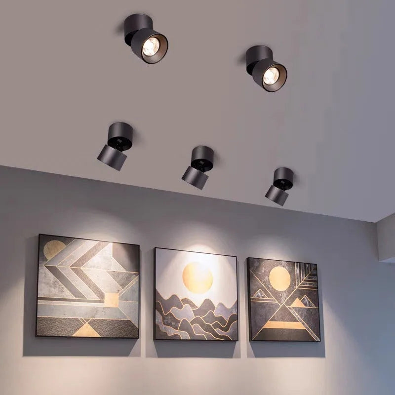 Plafonnier spot orientable 1