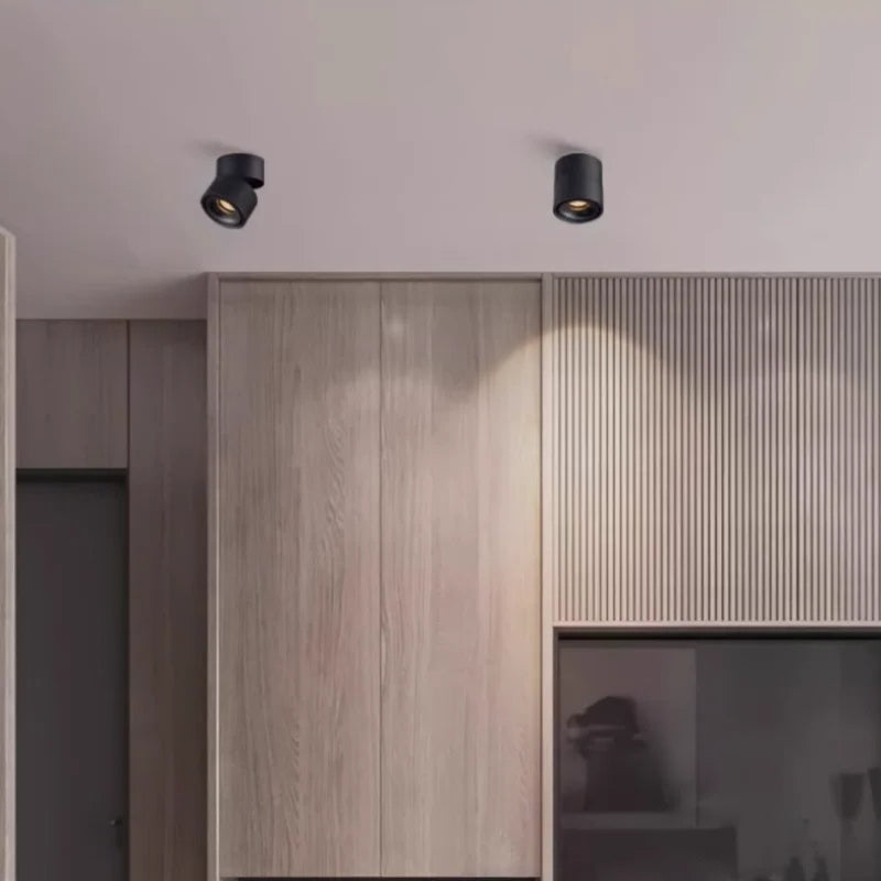 Plafonnier spot orientable 4