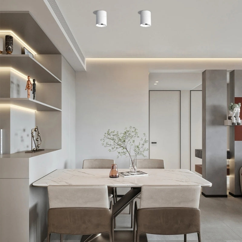 Plafonnier spot orientable 5