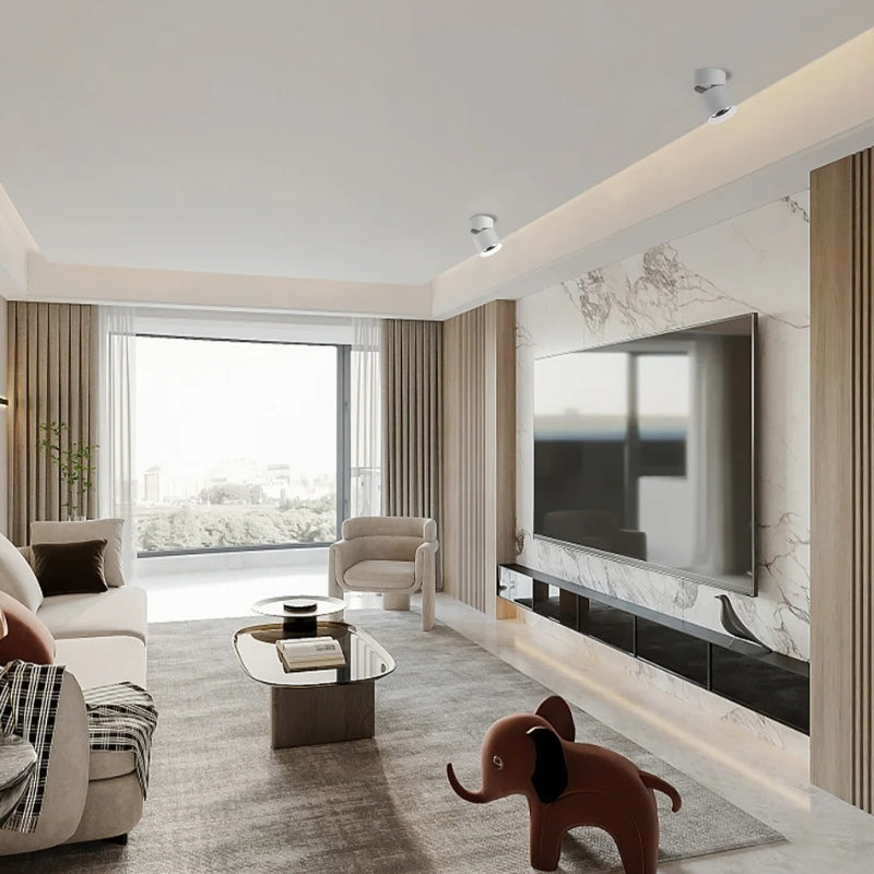 Plafonnier spot orientable 7