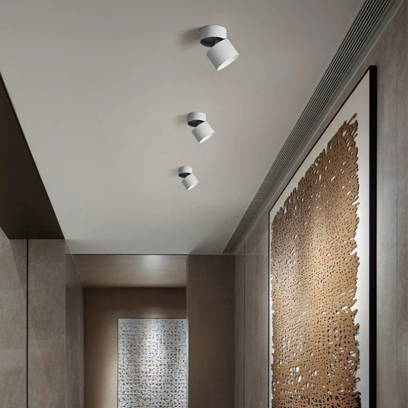 Plafonnier spot orientable 9