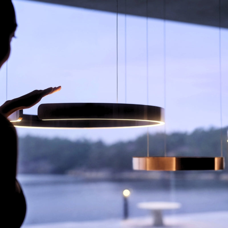 suspension aerienne 1