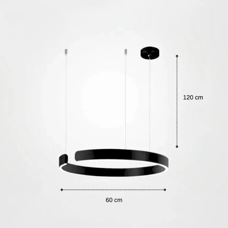 suspension aerienne 19