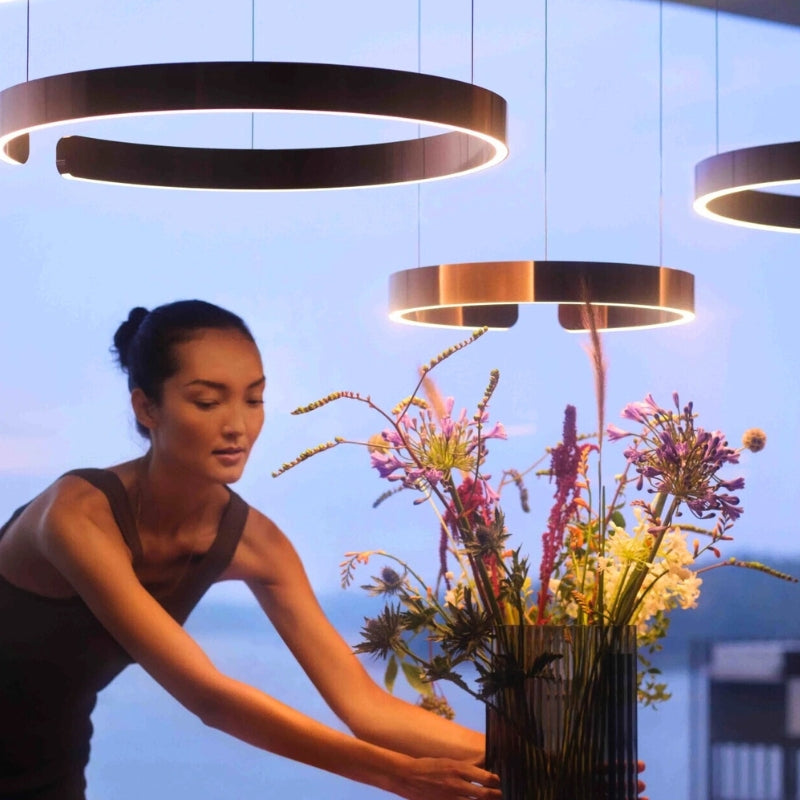 suspension aerienne 6